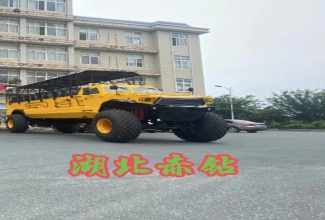 沙漠觀光越野車