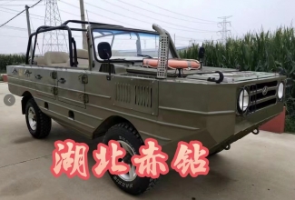 水陸兩棲越野車4×4，8人座